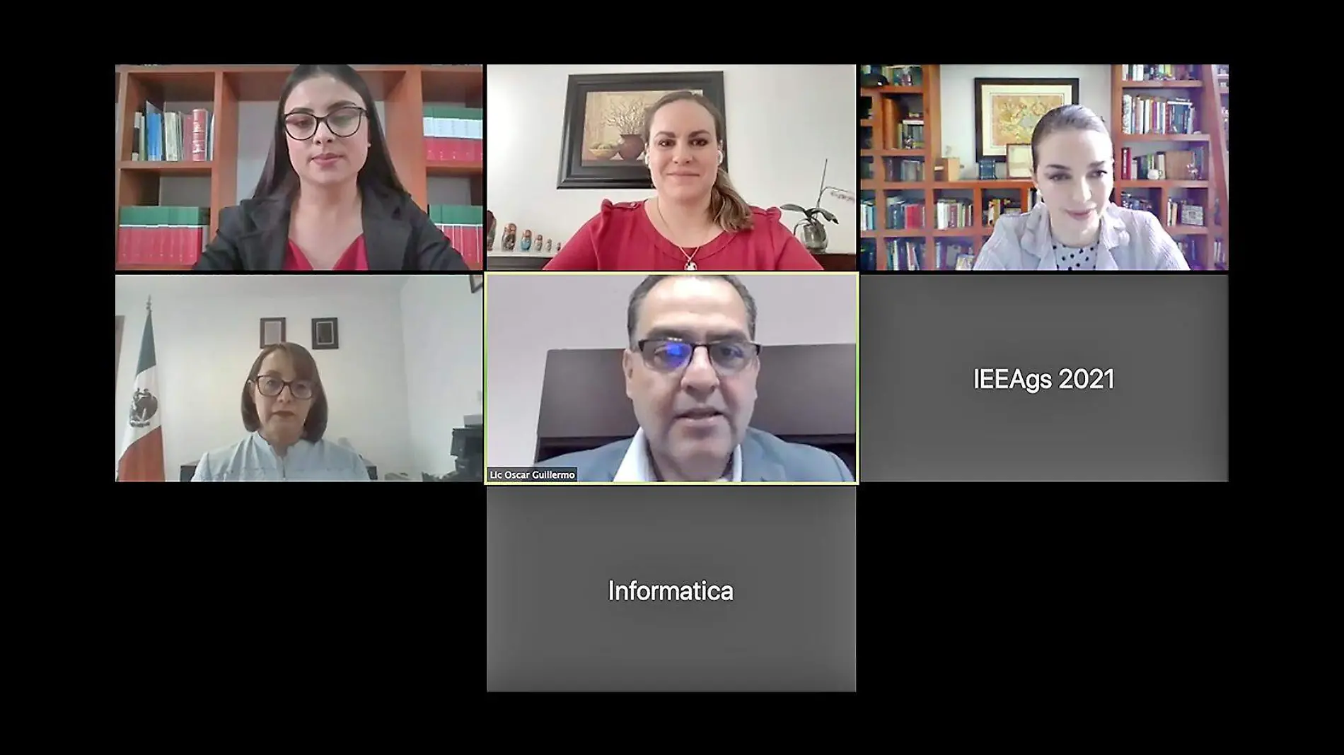 Reunion virtual IEE_TEEA_IAM Ags